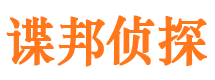 临高市私家侦探